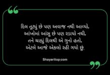 Broken Heart Shayari in Gujarati